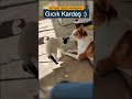 Konuşan Kediler #shorts - Gıcık Kardeş