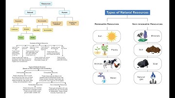 Class 10 Science Chapter 16 Sustainable Management of Natural Resources (Biology)Explanation|kmifotv