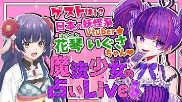 花琴いぐさ