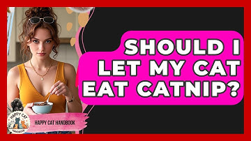 Should I Let My Cat Eat Catnip? - Happy Cat Handbook