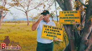 🇨🇴 ¡DON BERRIONDO SEMBRANDO CONCIENCIA! 🌳