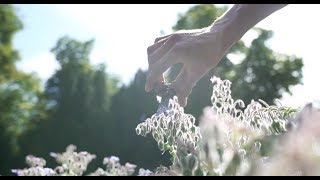 Lart Des Gestes Expérience Élégance