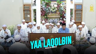 Ya Laqolbin - Majelis Ar Raudhah | Lirik & Terjemah