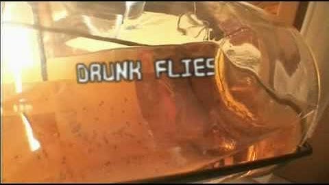 ENSLAVED - Making of - The Watcher (OFFICIAL BEHIND THE SCENES)