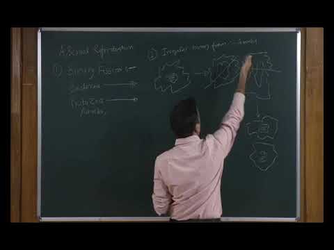 Bio class12 unit 02 chapter 02 reproduction-reproduction in organisms   Lecture -2/4