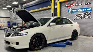 2008 Acura TSX CL9 6MT - New Mugen GP Wheel | JDM Headlight | Michelin PS4S | HardRace | BC Coilover