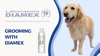 Diamex Shampooing Provençal Thym Romarin 1l vidéo