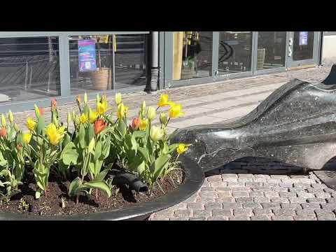 From Haugesund Port to Karmøy over the Bridge- Norway Westcoast Roads April 23'