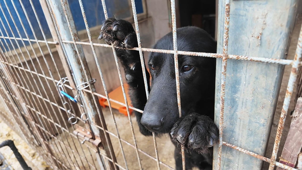 PontEZ 2026. febr. 26.