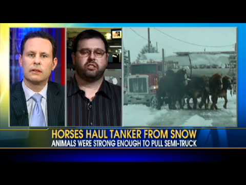 Amish Horses Pull Milk Truck From Snow