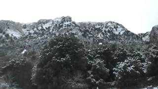 Quad Mallorca Nieve & Friends