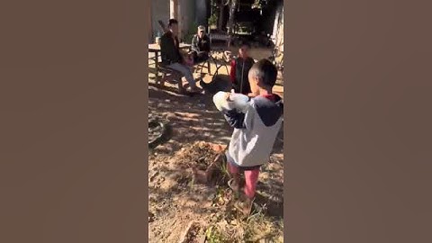 Thầy Thích Minh Tuệ Bộ Hành Ở Lào Được Phật Tử Cúng Dường #doanvanbau #lekhagiap #thichminhtue