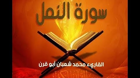 [ محمد شعبان أبو قرن ] سورة النمل برواية حفص من الشاطبية _ تسجيل  ٢٠١٠م Mohamed shaaban abu Qarn
