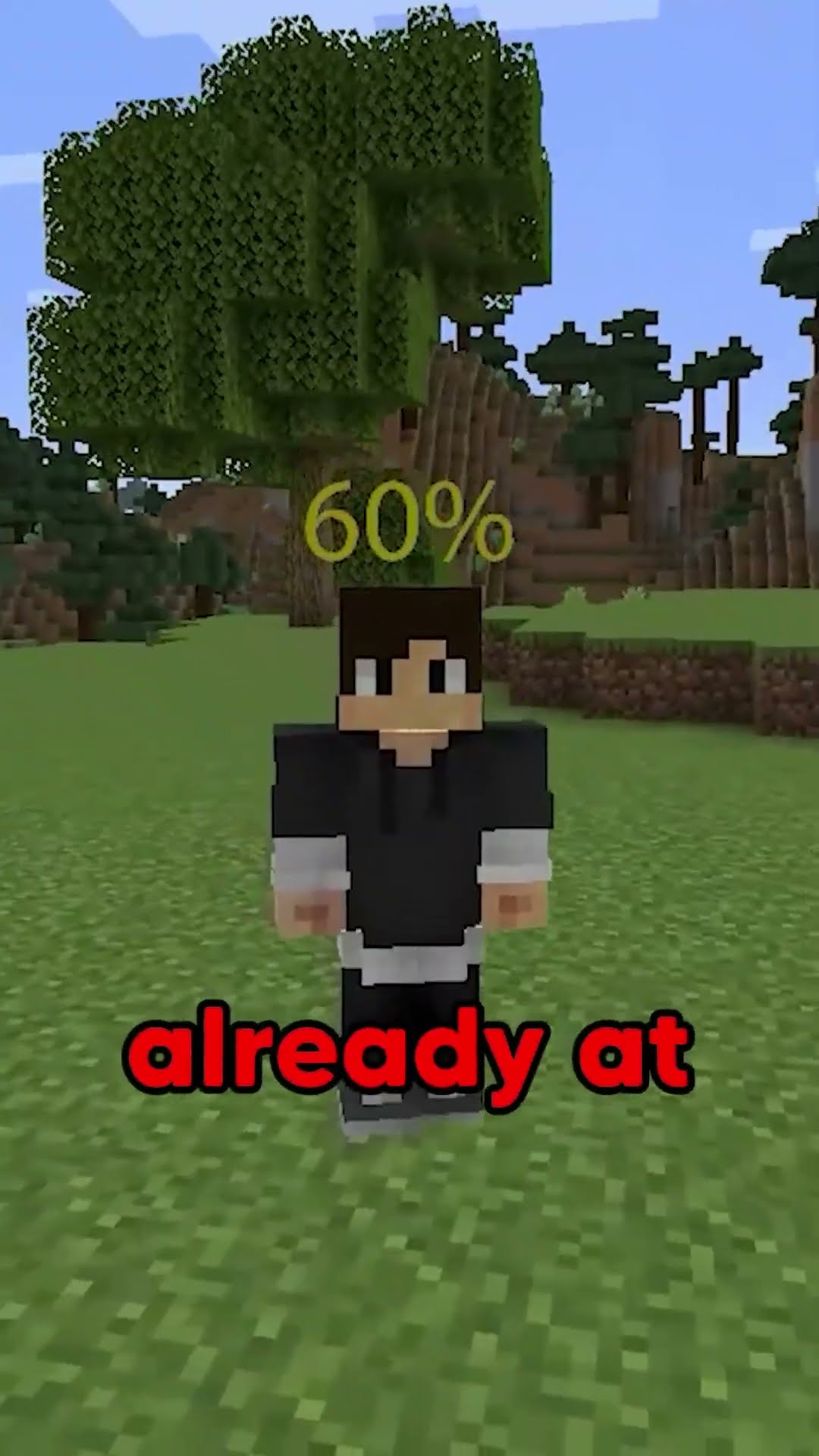 Minecraft, But Every 100 Likes Makes a Color Appear