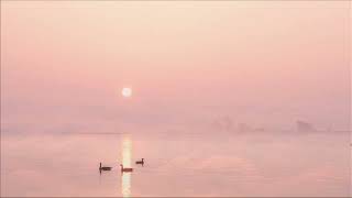 J. S. Bach Trio Sonata No. 4 In E Minor, Bwv 528 Ii. Andante David Goode