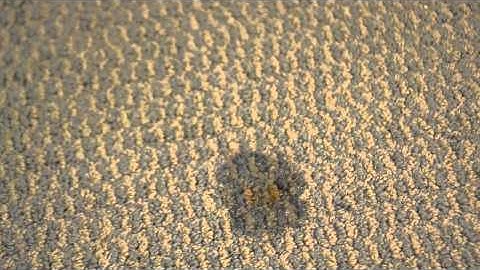 How to Remove Rust from Carpet