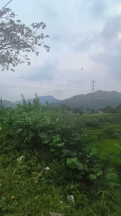Kaendahan jalan desa kebon peuteuy songgom gekbrong #cianjur #jelajahlembur
