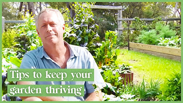 Expert Tips For Your Vegetable Garden & Growing Edible Flowers | The Garden Gurus
