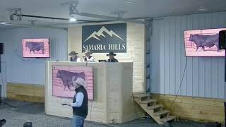Baker Angus Advantage Bull Sale, Vale, OR