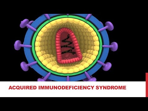 11 Biology - Chapter 05 - Lecture 13 - Life Cycle of HIV