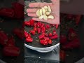 Red chilli chutneyalankar vlogs  viralshorts chutneyrecipe