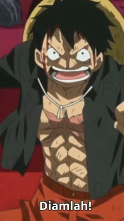 One piece E864 23:10