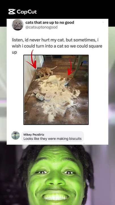 listen-i-d-never-hurt-my-cat-but-here-is-my-plan-trending-cat