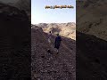 تركني الجيب