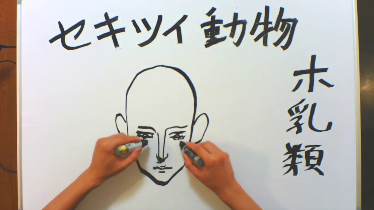 セキツイ動物(理科)を絵や音楽や語呂合わせで３分で楽しく覚える！【３分暗記】第４回目