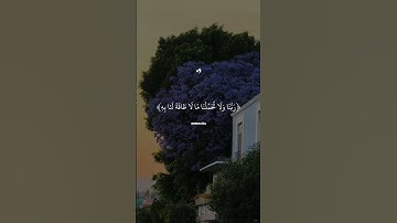 #بلال_دربالي #قرآن #القرآن_الكريم #راحة_نفسية #تلاوة_خاشعة