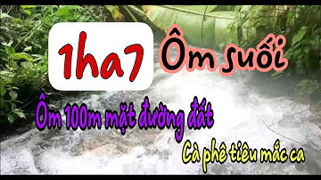 #wiew #1ha7 ôm suối ôm mặt đường quảng tân tuy Đức đăk nông 1ty250 #bánđấtđaknông # 0868,350,557