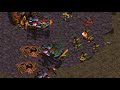 4port bc hyuk z  scan t  on polypoid  starcraft  brood war remastered