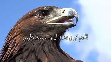 سورة الملك - تلاوة نجدية للقارئ محمد العتيبي