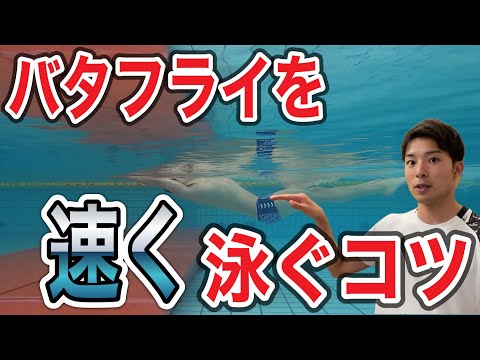 バタフライ　スピードアップ・プログラム 楽天市場】バタフライ・スピードアップ・プログラム 水泳DVD【明治大学