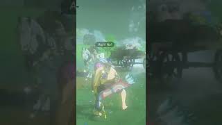 YAHAHA Day 174 of Helping Koroks - Zelda TOTK