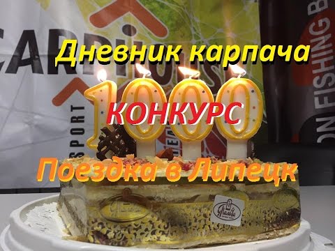 Погода ейск гисметео на 5 дней