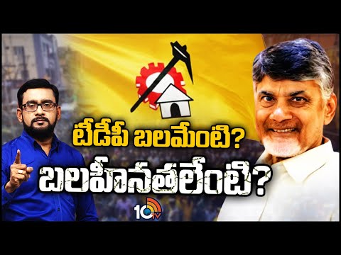 ఎన్నికల వేళ టీడీపీ ప్లస్‌లు, మైనస్‌లపై 10టీవీ In Depth Analysis | 10TV News