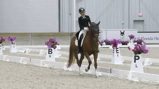 Bonnie And Vitalissohn Scoring 74.7% In The Fei 7 Yo Preliminary Test
