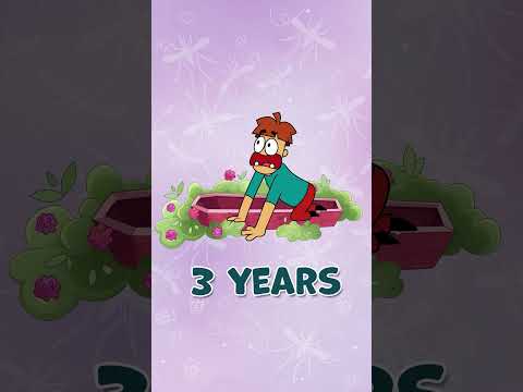 إزاي بتتعالج الملاريا