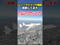 世界最大の飛行機 ムリーヤはコブラ機動できるのか?試してみた！ #戦闘機 #ムリーヤ #an225 #msfs2020