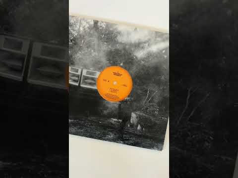 Dracula White Fang Vinyl available now.