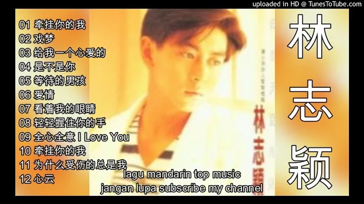 12  lagu mandarin 1990 an Jimmy Lin-