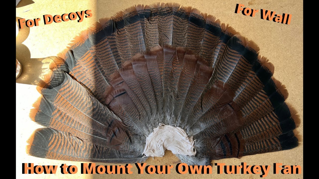 how to make a turkey fan THEKITCHENTODAY