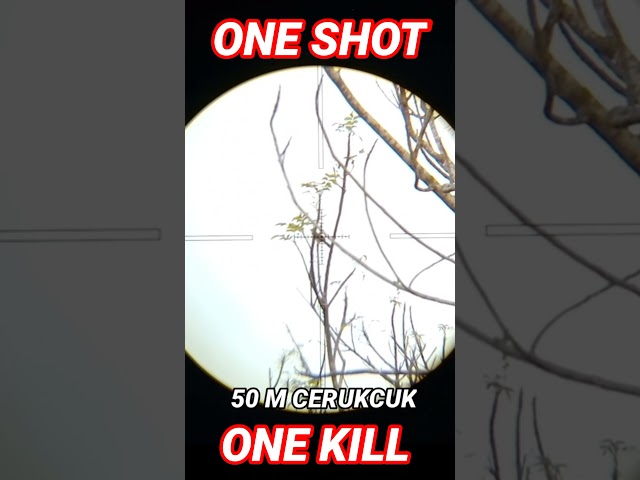ONE SHOOT ONE KILL #shorts class=