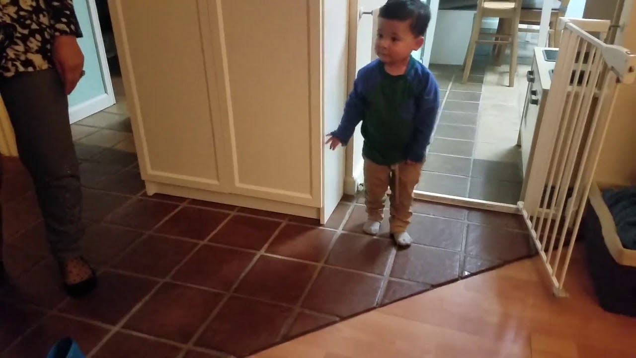 rumble video upload Toddler boy slays the Korean bow
