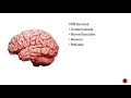 Diagnosis Of Death Brain Stem Death تشخيص الوفاة