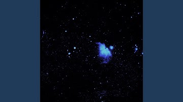 Oasis, Pt. 3: Summer Night