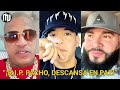 ¡Asesinan a Pacho “El Antifeka”! | ¡Daddy Yankee, Farruko, Nicky Jam, y más REACCIONAN!