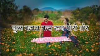 Phool Kawal Kas Rup Gori Tor [CGREVERB SLOWED]।New Cg Slowed & Reverb Song's। CG Song।ShekhAmin&Alka