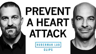 Tools for Avoiding Heart Attack & Heart Disease | Dr. Peter Attia & Dr. Andrew Huberman screenshot 5